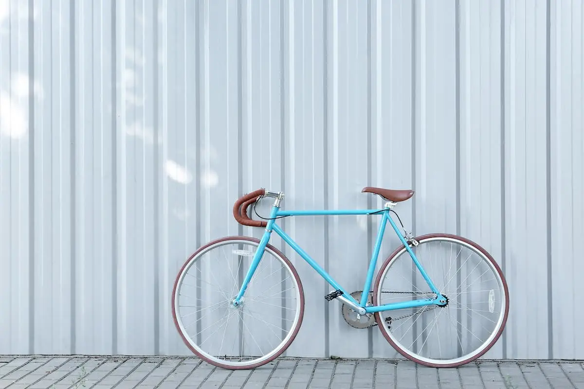 海外の自転車専用レーンの普及状況